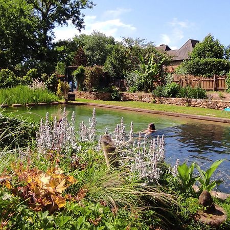 Maison De Charme, Piscine Naturelle Dordogne Perigord Prats-du-Périgord Esterno foto